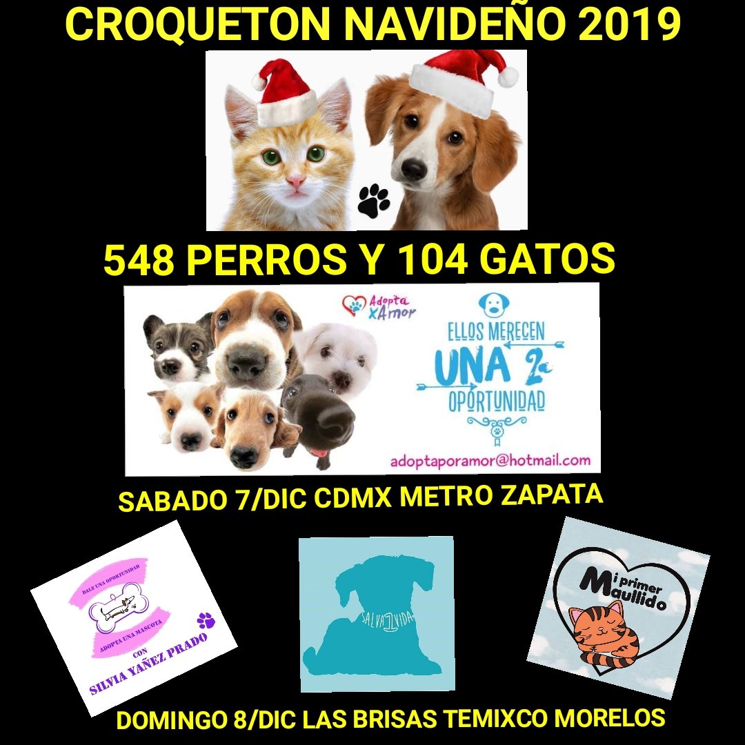 silvia yañez prado (@pradosyp1) on Twitter photo 