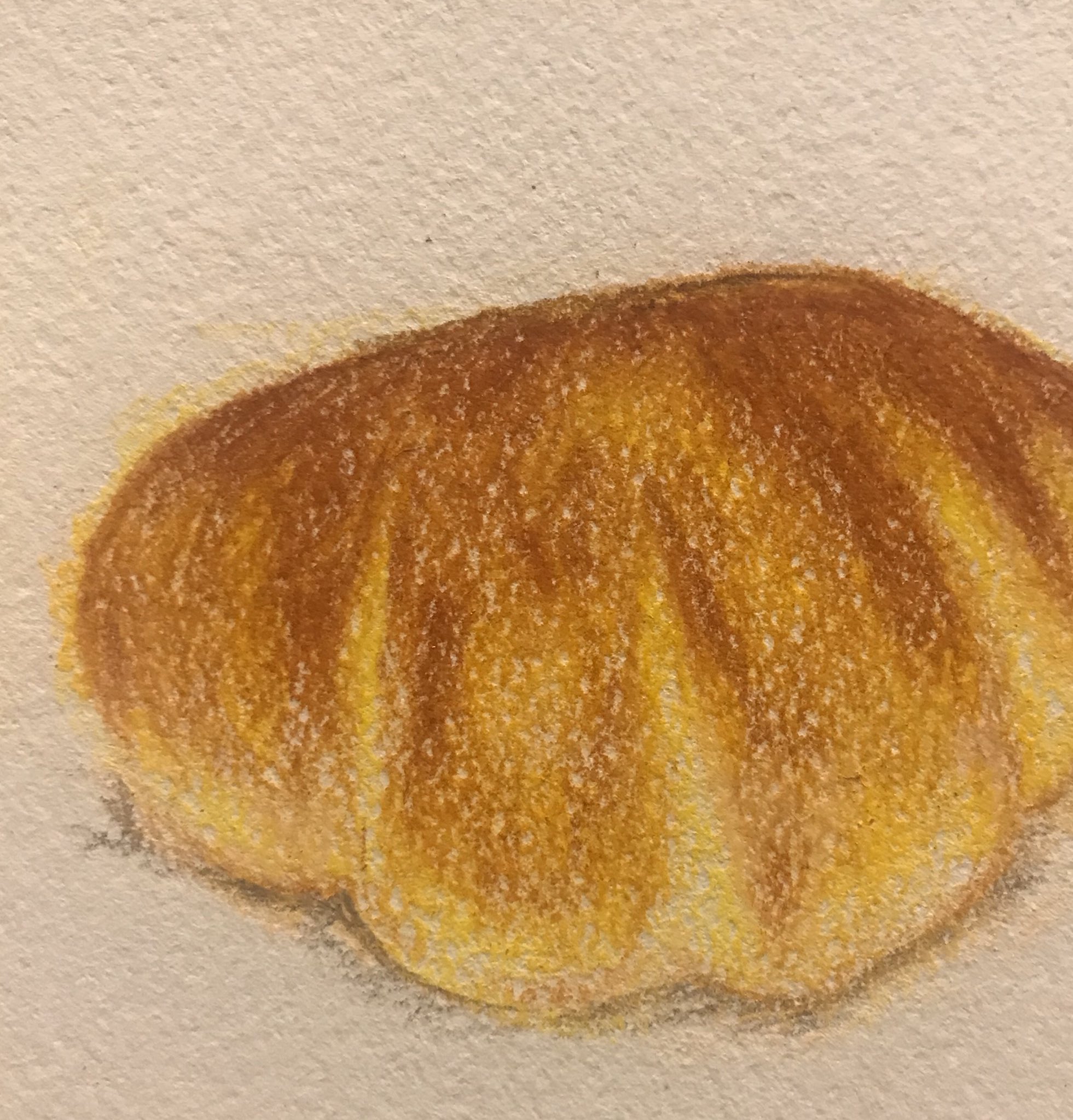 ココロアロマセラピストcocoaro そしてクリームパン Cocoaro パンのイラスト クリームパン クリームパンの イラスト イラストレーター 色鉛筆 色鉛筆イラスト T Co Ze1qfrwrzw Twitter