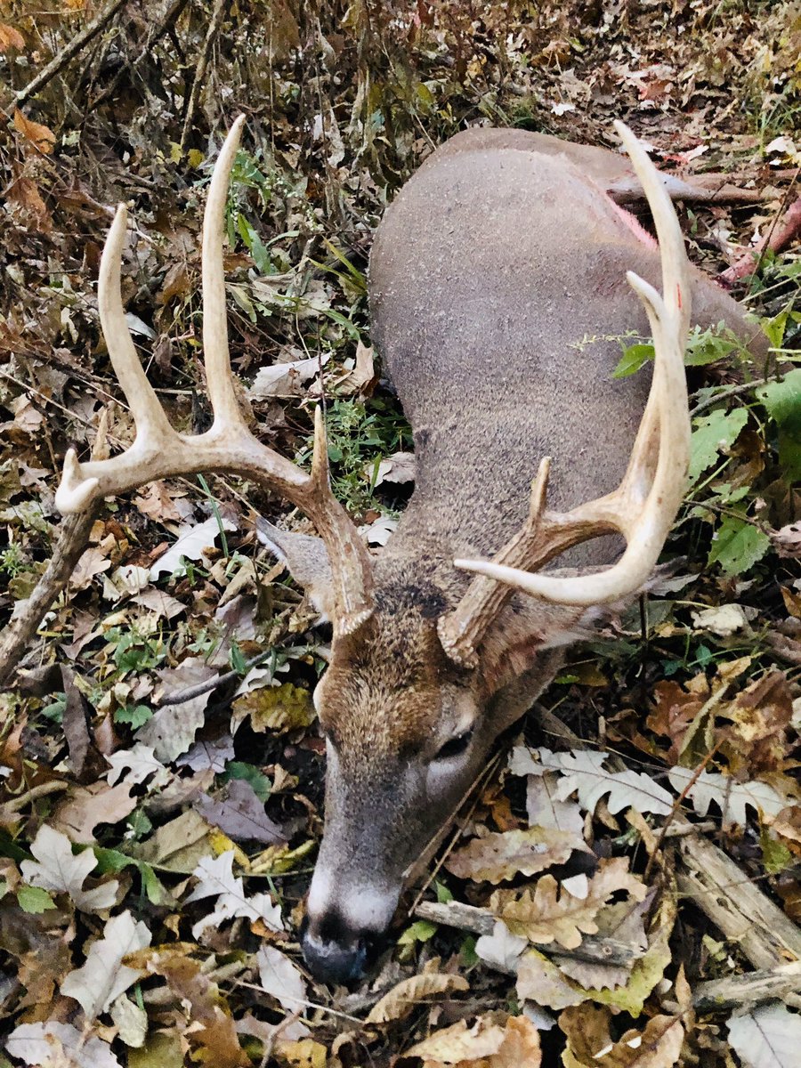 Jason Farley tweet media