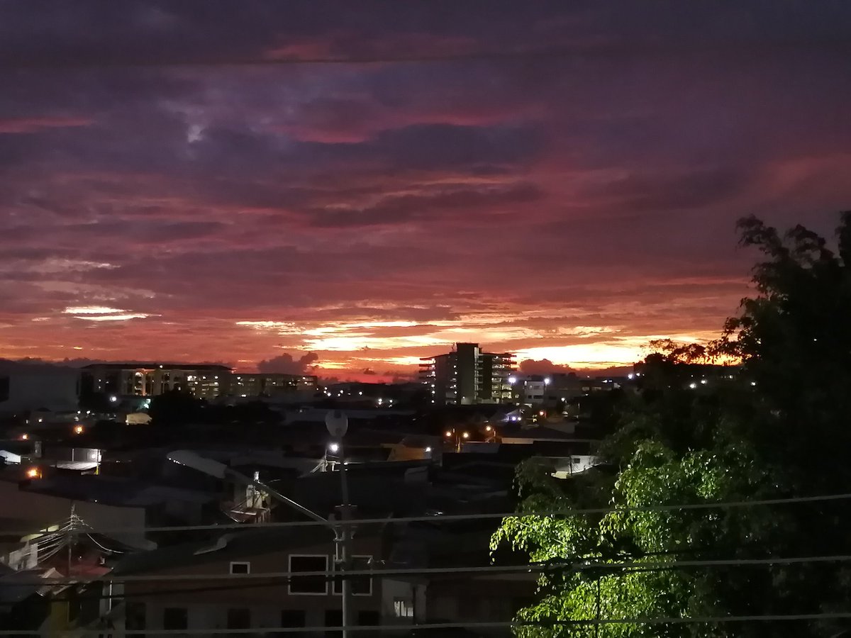 bear (@eladiolobo4) on Twitter photo 