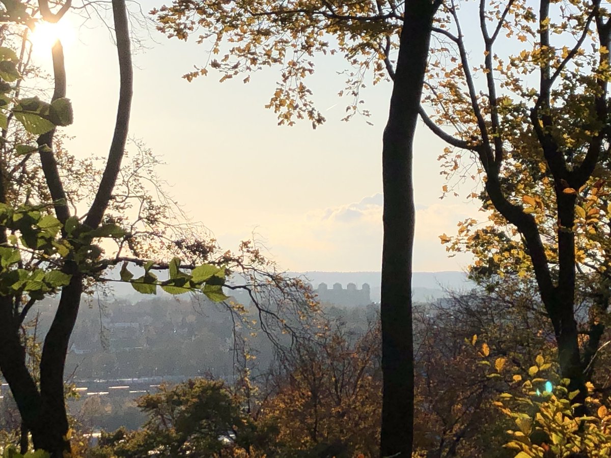 after participating in the fantastic #ACCD meeting on Cardiovascular Disease and Diabetes hosted by <a href="/UniklinikAachen/">Uniklinik RWTH AC</a> Medical Clinics I and TRR219, it feels even more useful to go for a quick run before starting the weekend 🏃🏼‍♀️