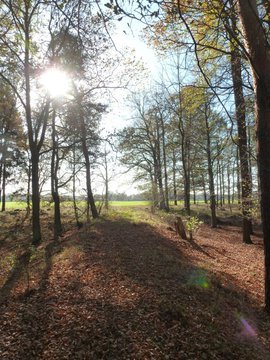 marmottewandern's tweet photo. #Tageswanderung Berliner Umland (Calauer Schweiz) 17.11.2019 : https://t.co/4jGB43gkjL #Frauen #Berlin #marmotte #wandern #MarmotteWanderreisen #Brandenburg #calau #calauerschweiz #altdoebern #weissag #natur #teichlandschaft #buchwäeldchen #marmottewandern #niederlausitz #plinsen https://t.co/v1CM9MxGMc