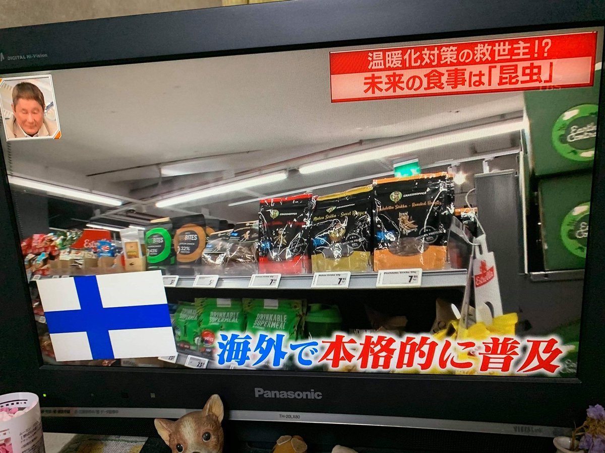 RobertNemlander's tweet photo. Konnichiwa! Finland's glorious #edibleinsects scene featured tonight on Japanese TV channel TBS - which brought us Takeshi's Castle and Ninja Warrior - just as Muji opened in Helsinki. I spent 2 days introing @EntoCube, visiting a cricket farm with goats, and @koiramies coooked! https://t.co/U9gcj1rkmw