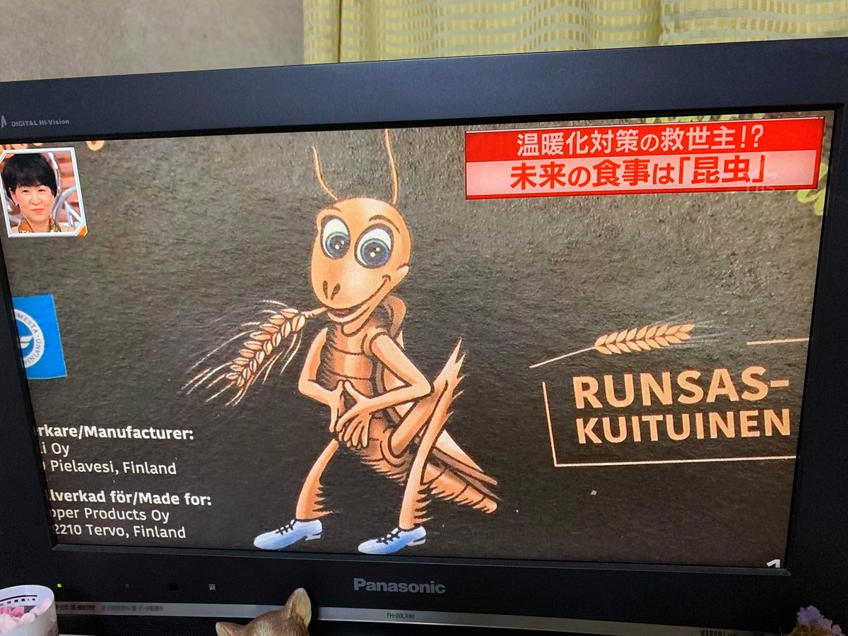 Konnichiwa! Finland's glorious #edibleinsects scene featured tonight on Japanese TV channel TBS - which brought us Takeshi's Castle and Ninja Warrior - just as Muji opened in Helsinki. I spent 2 days introing <a href="/EntoCube/">EntoCube</a>, visiting a cricket farm with goats, and <a href="/koiramies/">Topi Kairenius 🐜🍻</a> coooked!
