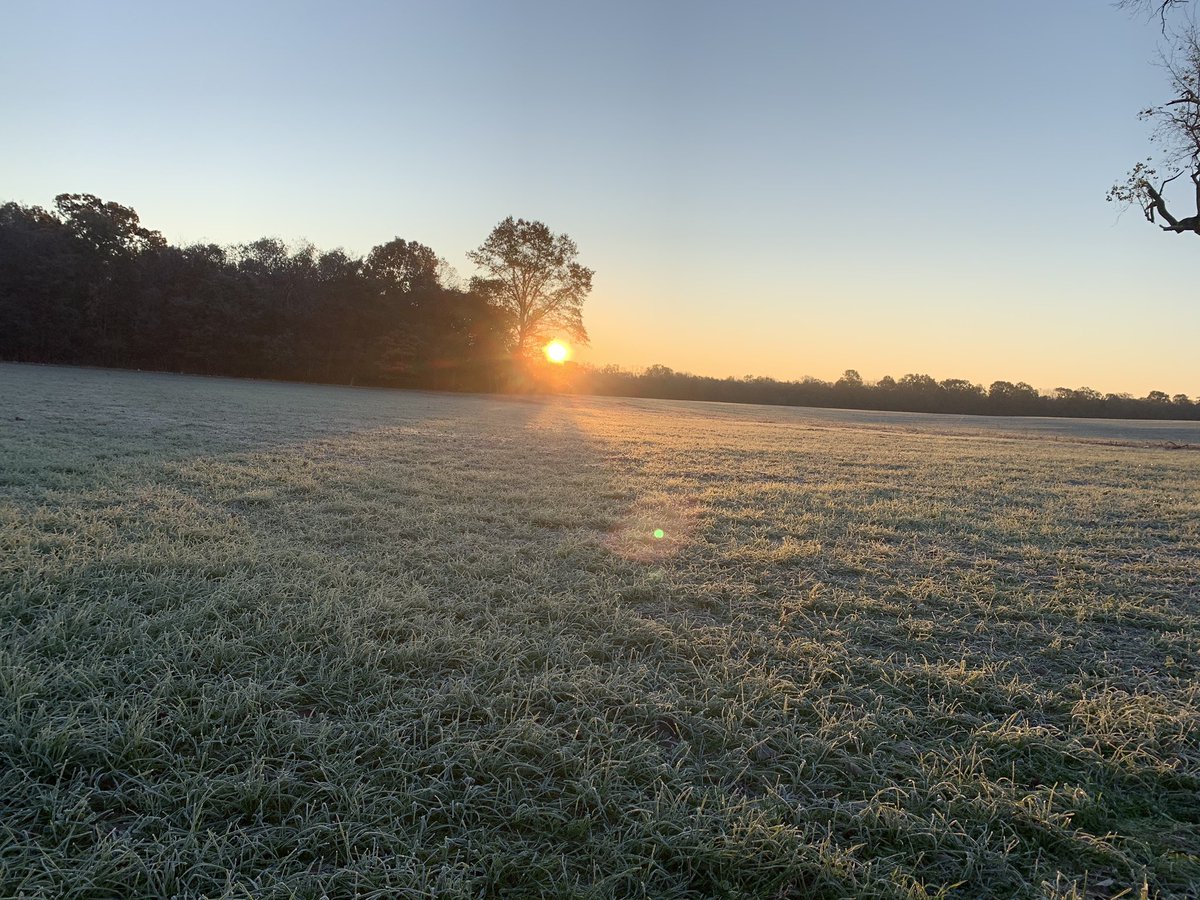 CliffVines's tweet image. My view this morning.  #muzzleloaderseason.