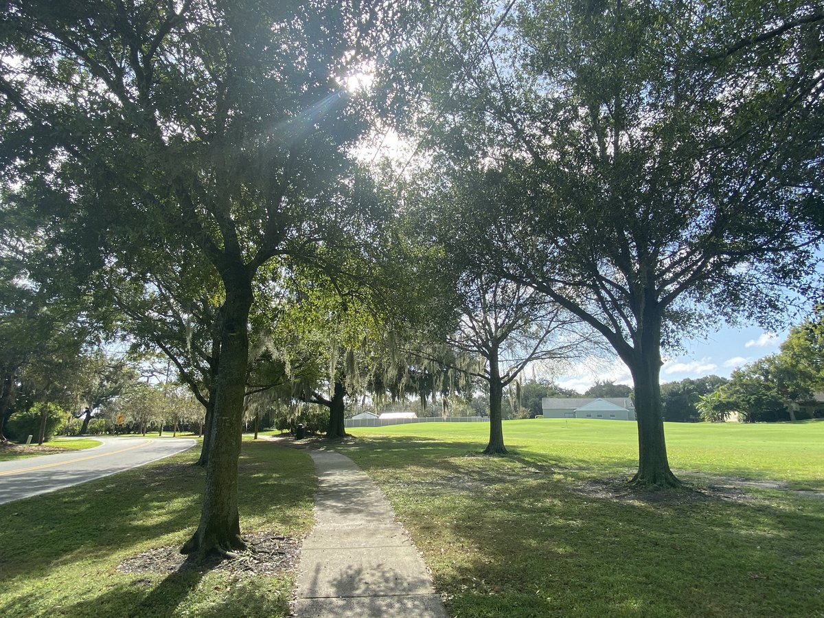 thisfloridalife's tweet image. This is what I wait all summer for. This is when many of us Floridians finally enjoy being outside. #FloridaFall #FloridaLife