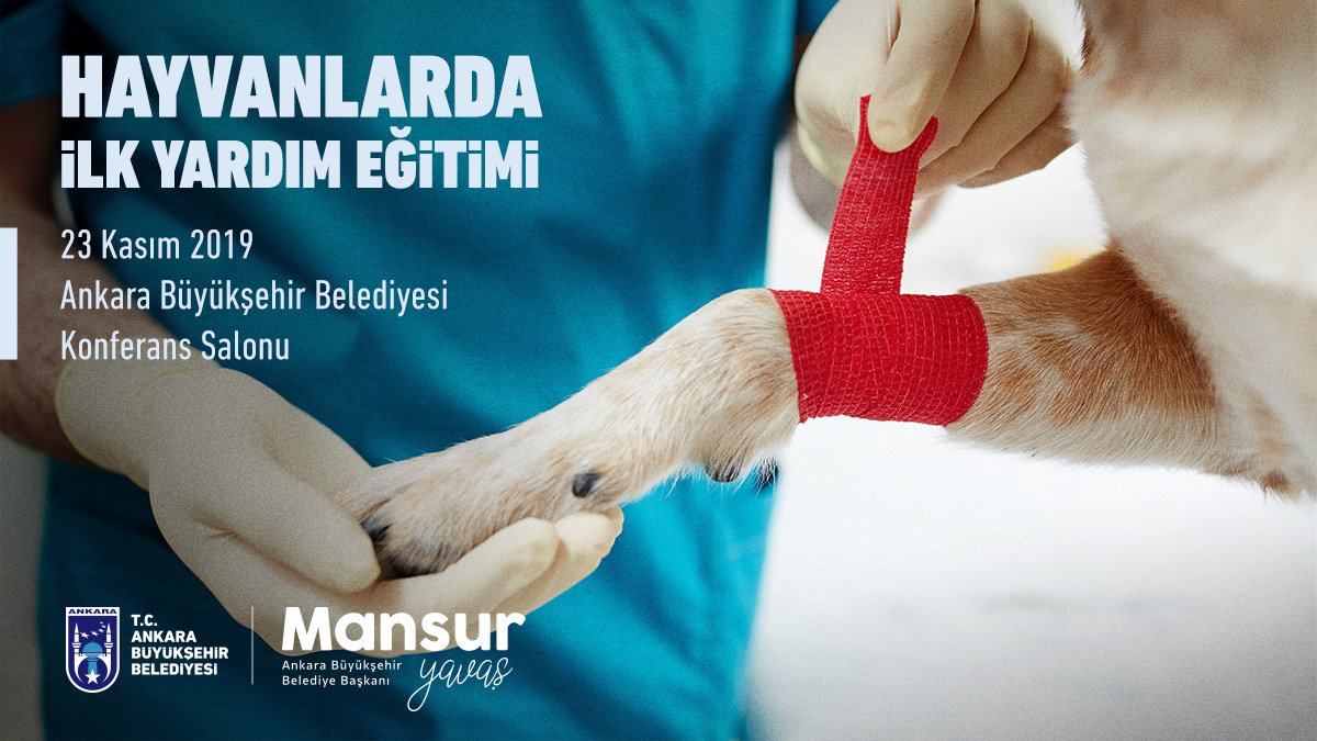 Mansur Yavaş