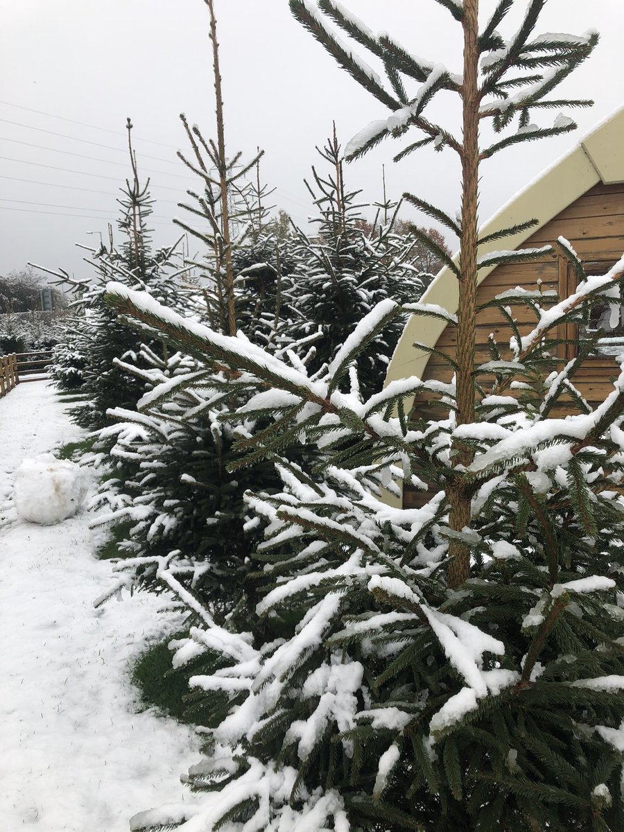 Snow day <a href="/PentreclawdFarm/">PentreclawddFarm Osw</a> in Oswestry, Shropshire <a href="/advertizer/">Oswestry Advertizer</a> <a href="/OswestryTourism/">Visit Oswestry</a> <a href="/ShropshireStar/">Shropshire Star</a> 
<a href="/BBCShropshire/">BBC Shropshire</a> <a href="/BBCNews/">BBC News (UK)</a> <a href="/bbcweather/">BBC Weather</a> <a href="/itvnews/">ITV News</a>