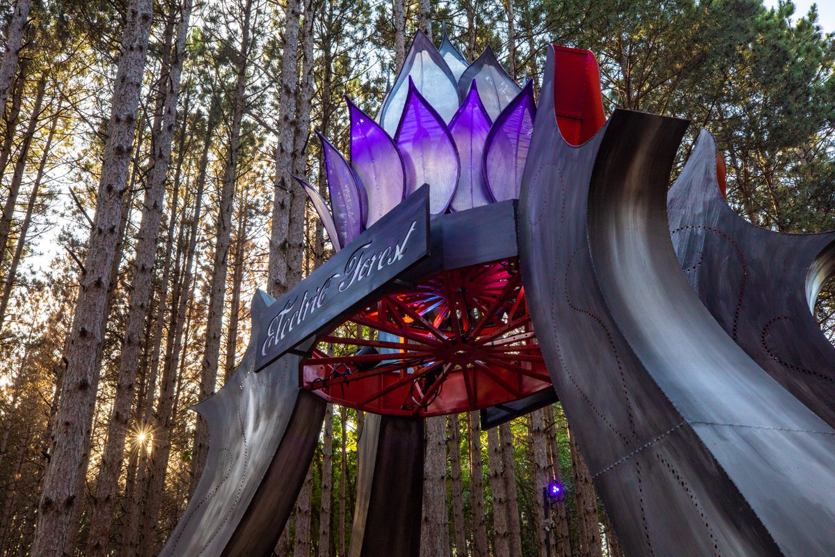 Electric_Forest tweet picture