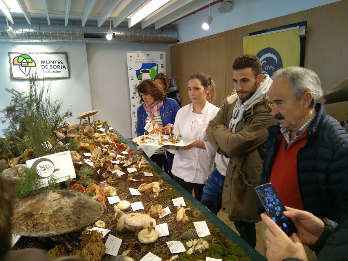 CIFPLAMERCED18's tweet photo. Ayer y hoy hemos colaborado con el @Mercasetas repartiendo crema de boletus y níscalos escabechados. Gracias a profes y alumnos por participar y Montes de Soria @Ayto_Soria @dipsoria @FCesefor @jcyl  por apostar por la cocina micológica y Soria. #micologia #cocina https://t.co/9I2Li0L9G6