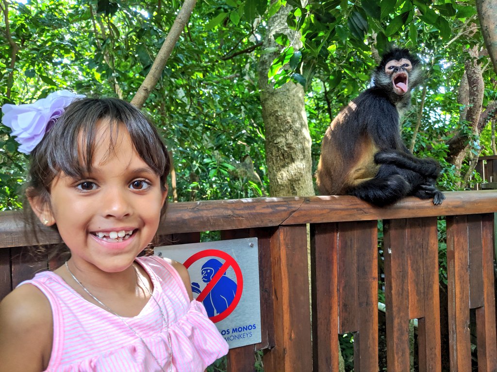 YashYanthi's tweet photo. And that's a wrap for #MurphysDoFives. Today we board our @airtransat flight back home with our hearts filled with warm memories from our stay at @TheFivesHotels. Had to get a smoothie, breakfast taco and say goodbye to the 🐒
#AIRTRANSAT_PARTNER #EXPERIENCETRANSAT #FEELTHEFIVES https://t.co/AHuOecpnbh