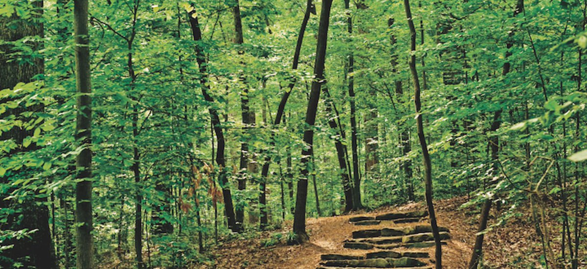 Take a break from the busy city and enjoy these scenic #Atlanta #parks. ow.ly/5KbP50uqZmR