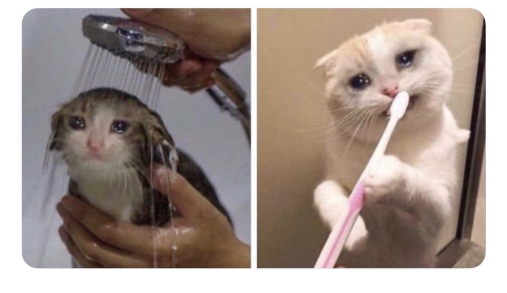 When someone asks how you’re managing now that nutbutter has been closed 3 weeks: