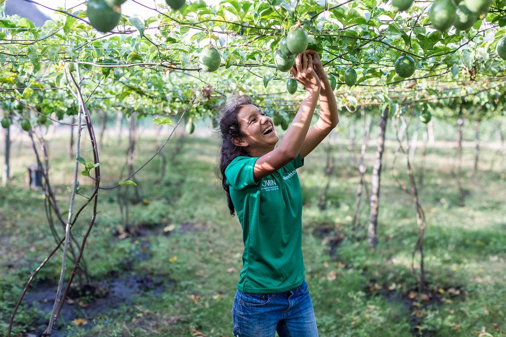 ffabretto's tweet photo. Es gratificante es ver los frutos del trabajo. Conoce más de nuestro programa SAT. https://t.co/ehEo3q2L1a 🌱

#ODS4 #ProgramaSAT https://t.co/Sr6mTRg1Sa