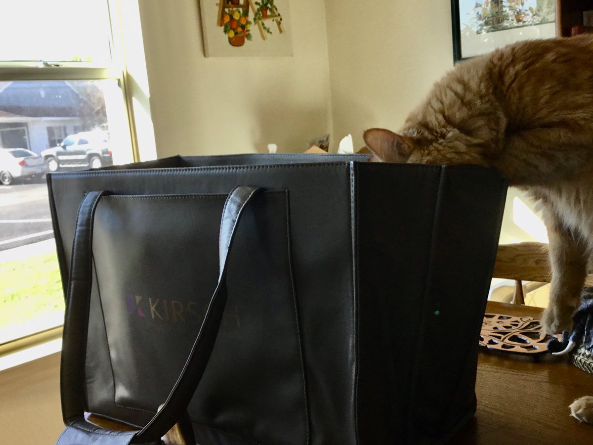 Someone is obsessed with the new roller shade collection from <a href="/kirsch/">Kirsch</a>. #catslovekirsch