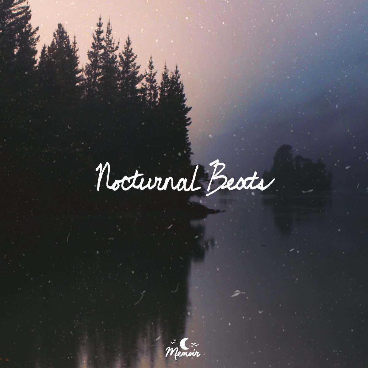 memoir_music's tweet photo. 🌲 New playlist: Nocturnal Beats

🍁 Late night &amp; early morning instrumentals. Sleepy lofi, dreamy beats.

☾ Listen/drift • https://t.co/MHwkGGUN8a

📷 Matt Newell
✍️ Simon Eng https://t.co/yAJqsRRern