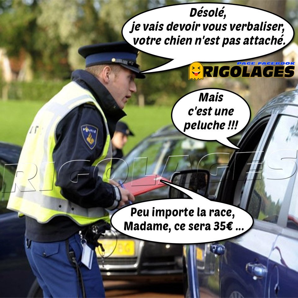 Rigolages Rigolages Humour Police Chiens Peluche Pv Ceinture T Co Enr1f2lzbs Twitter Rigolages Rigolages Humour Police Chiens Peluche Pv Ceinture T Co Enr1f2lzbs Twitter