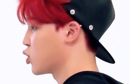 his beakie likes to be ALWAYS present