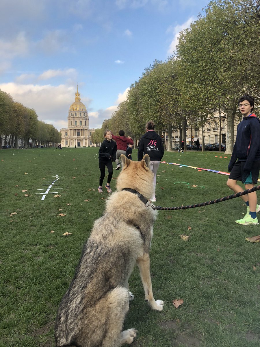 rma_paris's tweet photo. Notre #mascotte Vlad est de retour pour encadrer nos #jeunes lors des #entrainements 😍
Une belle #meute 🐺
#vladleloup #louptcheque #czechwolf https://t.co/muX5EbkP6N