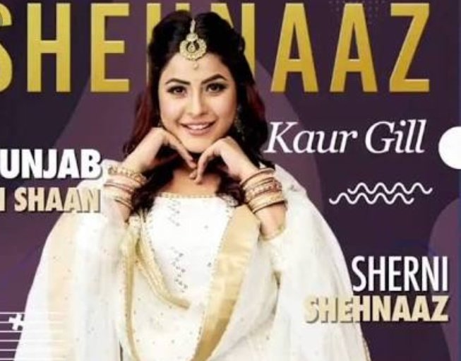 Hitman_views's tweet photo. Which contestant is honest on their controversy ? 
             👇

Retweet for #ShenaazGill 

Like for #HimanshiKhurana 

#BB13 #BiggBoss13 #Weekendkavaarwithsalmankhan https://t.co/akzWhv7udR