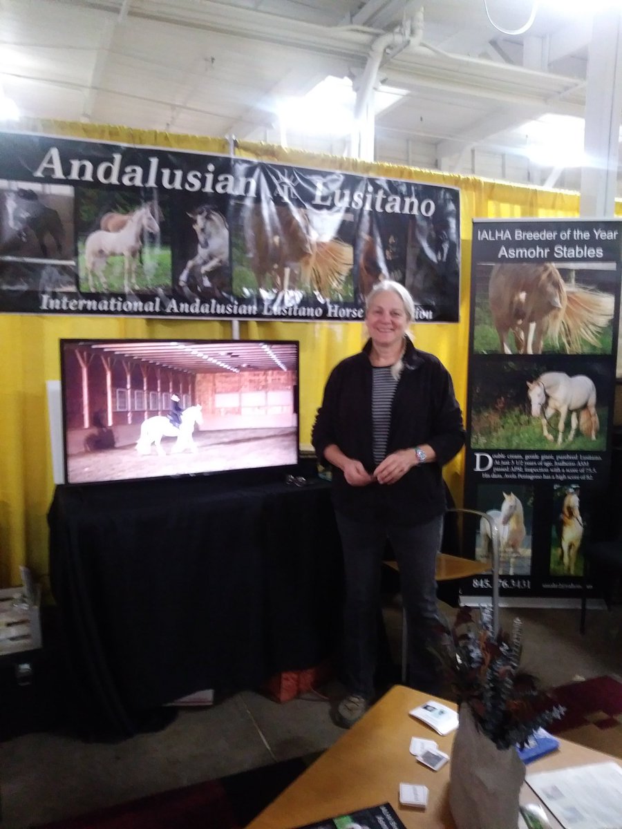 EquineInfoEx's tweet photo. Learn more about the #Andalusian and #Lusitano breeds in the #Breed Pavillion. We saw their awesome demonstration which was so impressive! @timidrider #EquineAffaire #EA19 @equineaffaire https://t.co/QmTRbGtyLb