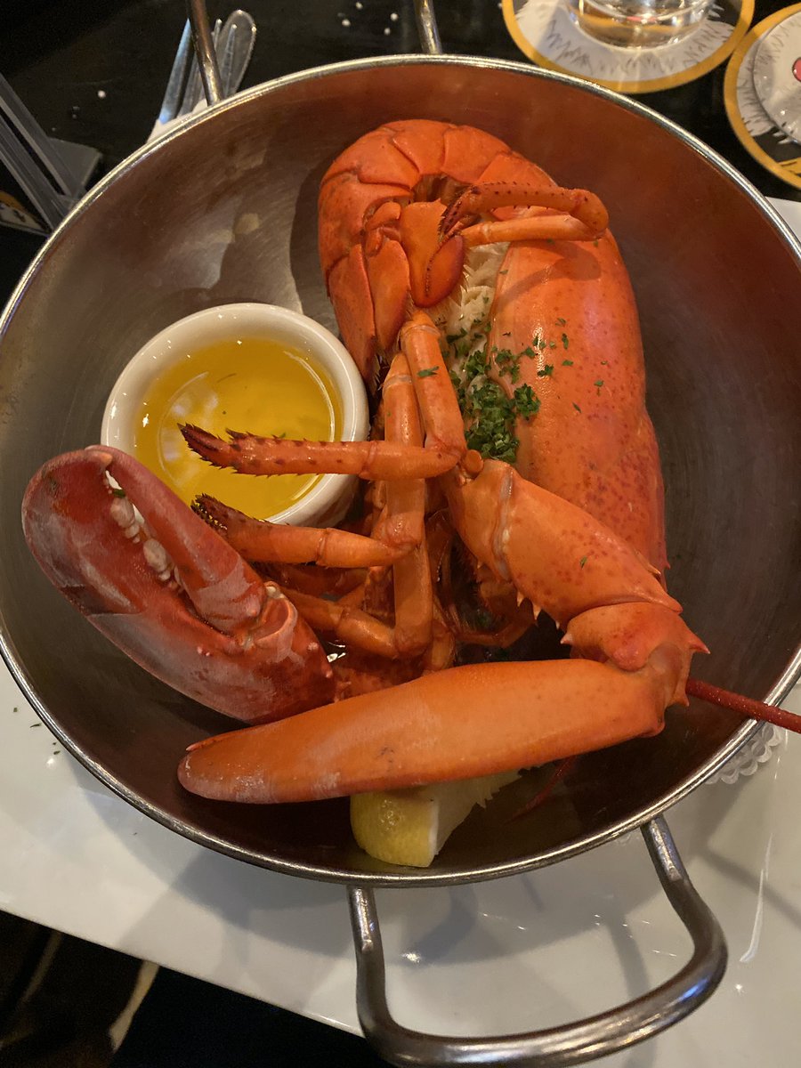 Megan Shipman tweet media