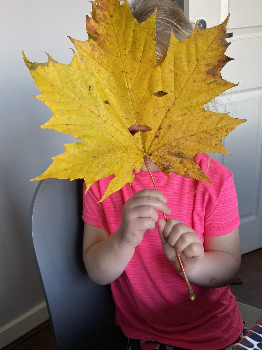 jamclair's tweet image. a leaf mask