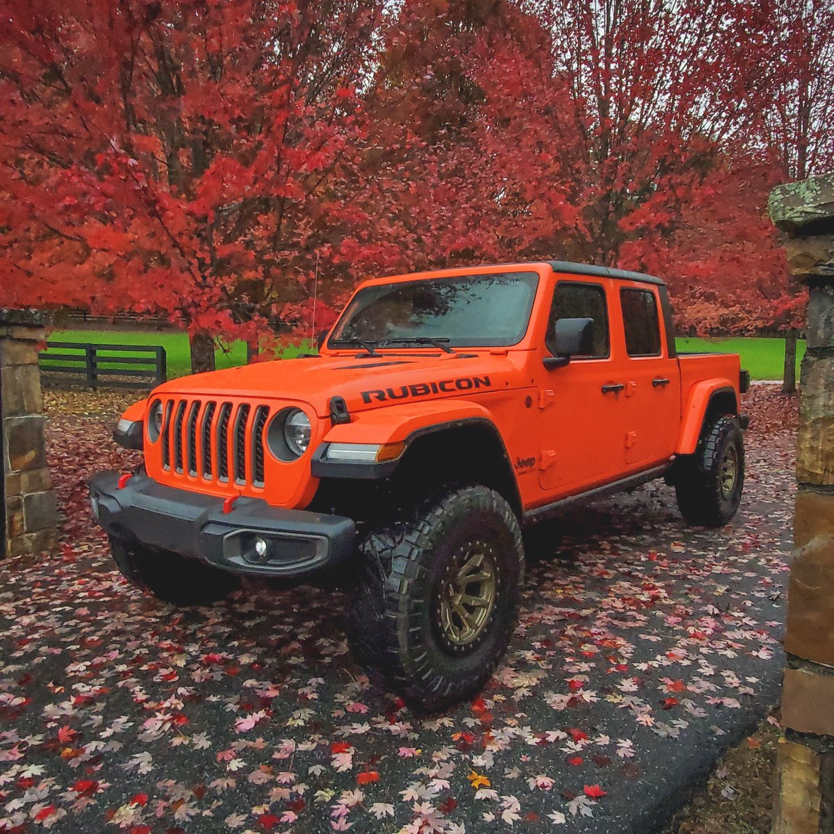 Be bold.

📸: Matthew P.
