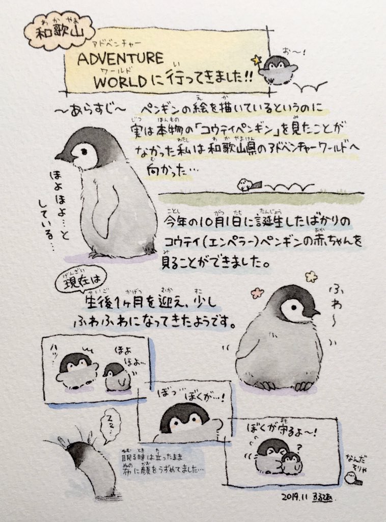 先日和歌山県のアドベンチャーワールドに遊びに行ってきました!
本物の皇帝ペンギンのヒナを見ることができました。感激? 
