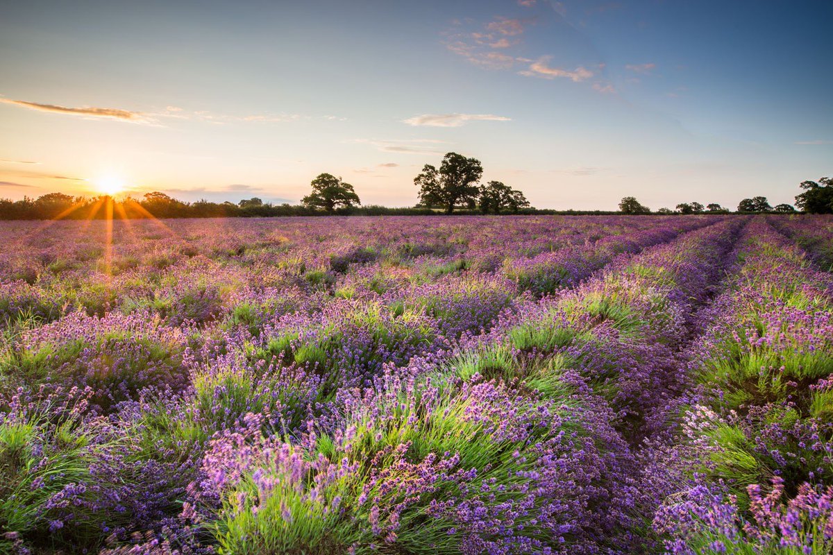Hi Twitter, I’m a photographer traveling the world trying to make my passion sustainable. Please spread my art. Every RT counts!