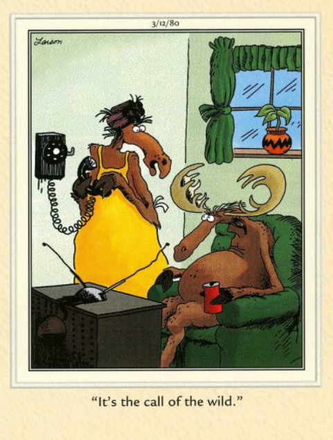 TheFarSideDay1's tweet photo. Getting invited to "Do something" https://t.co/wOkmGb6irN