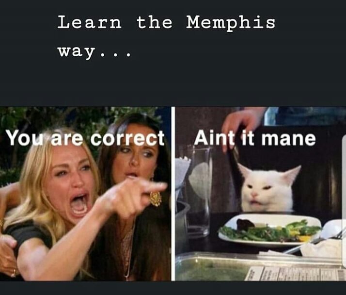 901Flava's tweet photo. This damn cat ๐ ๐ ๐ ๐ ๐
#memphis #memphis10 #memphisisms #memphisslang #901flava #imso901 https://t.co/fPb820VKyG