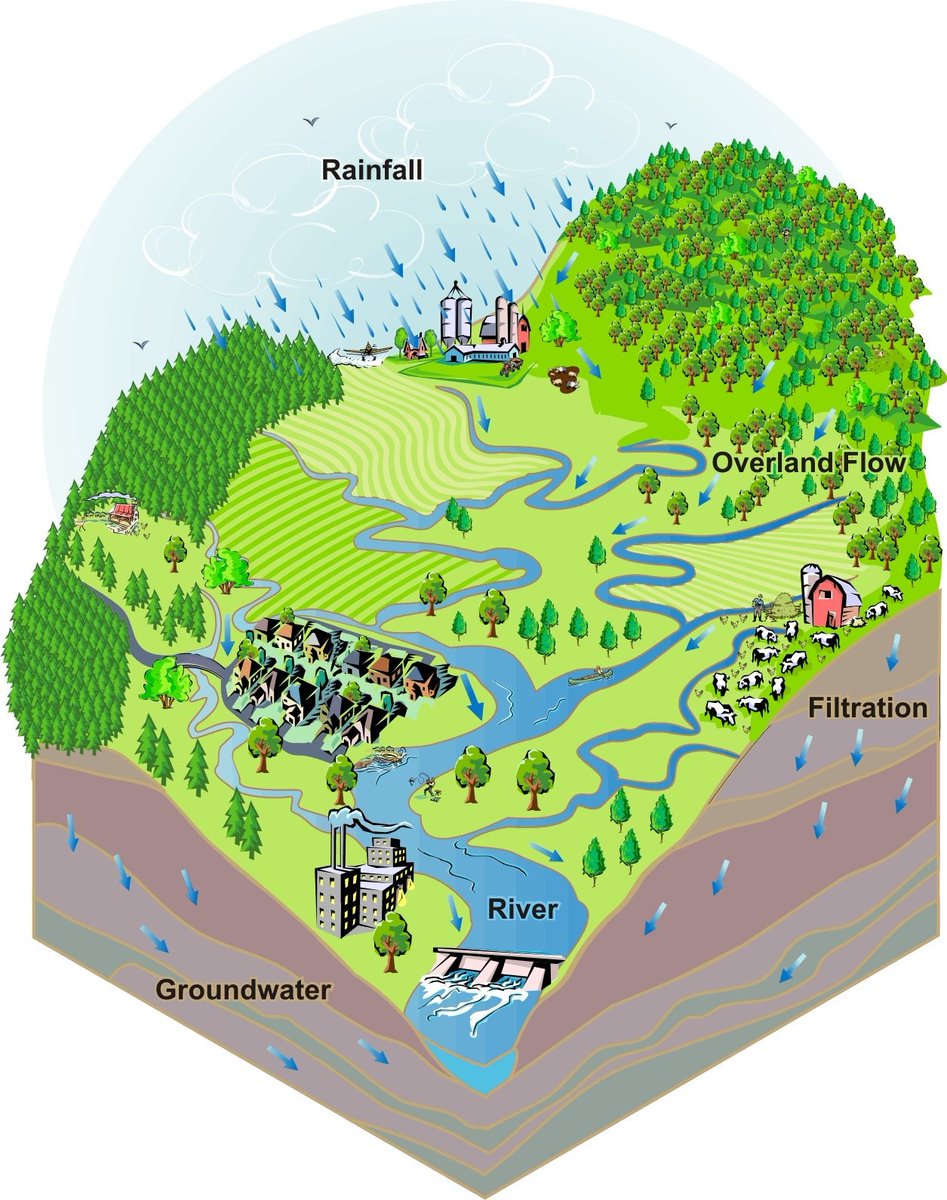 GreeningNews's tweet photo. Urban Watershed Forestry is another step at holistic management of urban natural resources. It links two key practices -- urban forestry and watershed management. https://t.co/SeUPqbYO8y  #urbangreening #watershed #urbanforests #trees #urbanforestry #water https://t.co/yPMTJBbOny