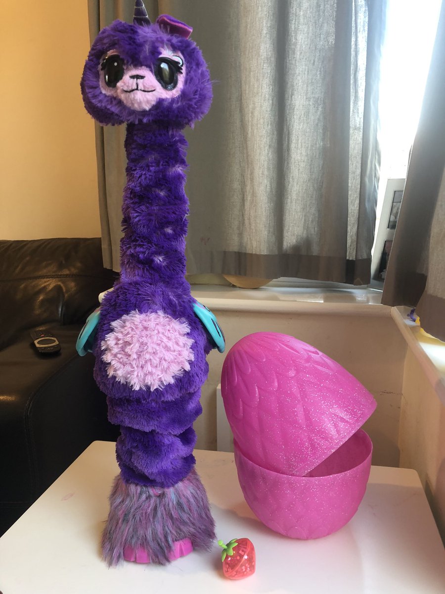 hatchimal llamacorn