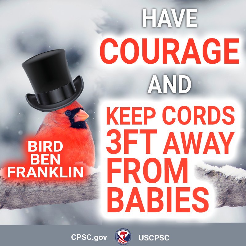 A bird named Bird Ben Franklin in a top hat sitting on a snowy branch. The text reads: have courage and keep cords 3ft away from babies at all times.