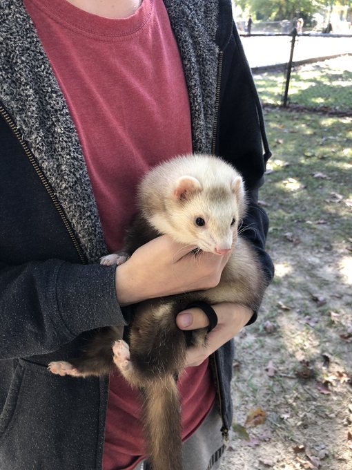 Watch FoxyPrince ♡'s leaked NSFW photo on TwXstars