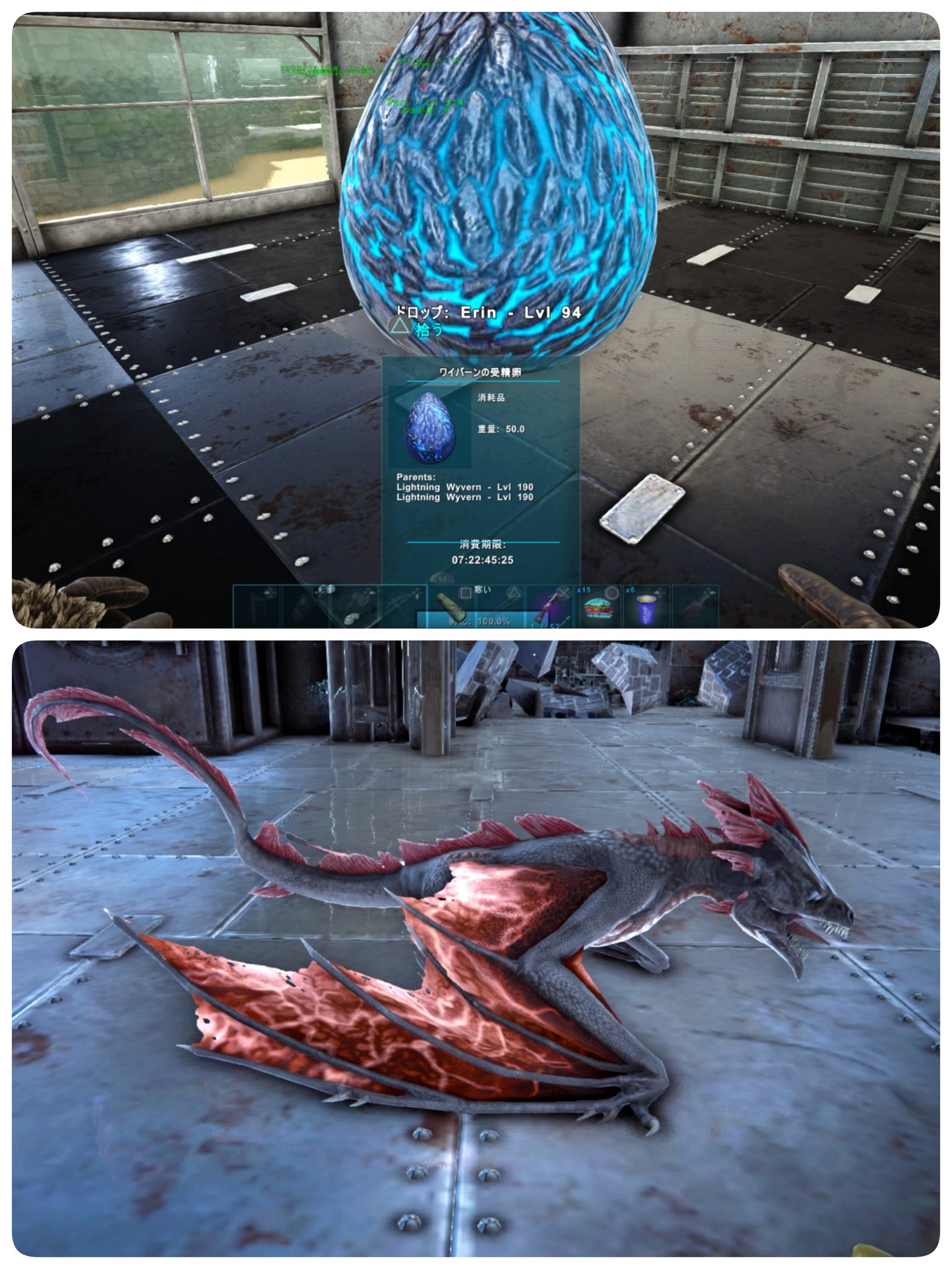 Re Iｇａｍｅ در توییتر どうしよう ハロウィン ﾜｲﾊﾞｰﾝ卵最後の最後に 190ｲﾍﾞｶﾗ 来ちゃった O W O めちゃくちゃ良い色 ˊ艸ˋ Ark