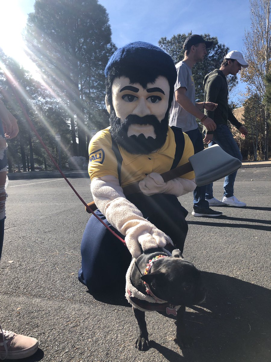 We love the dogs of NAU!! #dogsofNAU #Louiethelumberjack #NAU <a href="/NAUAthletics/">NAU Athletics</a> <a href="/NAU/">NAU</a>
