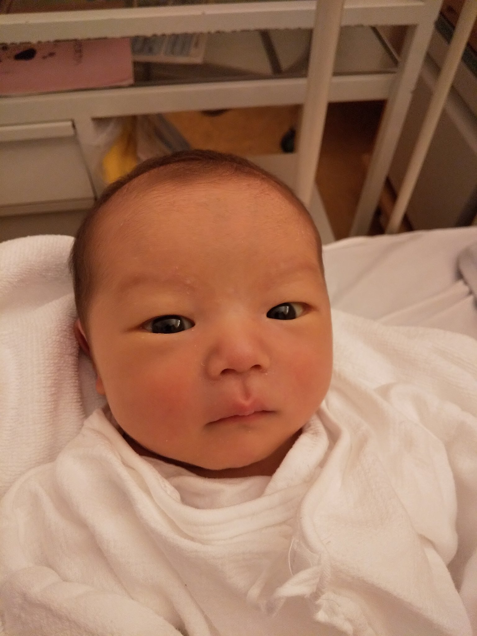 コモチベスナ 2歳です 新生児 2ヶ月 3ヶ月 4ヶ月 顔も肌の感じも全然違う そしてどの娘っ子もかわいい 赤ちゃんのいる生活 親バカ全開 顔の変化 寝れないからアルバム見返す また寝れなくなる 無限ループ T Co G0yu5foatp