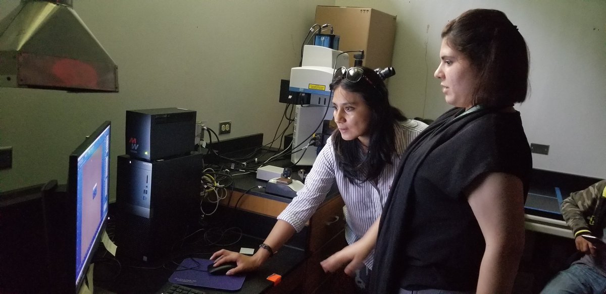 SocietyRum's tweet photo. ¡Segundo taller de espectroscopía Raman!

Teoría por el prof. Marco De Jesús. 

Calibración y adquisición en XploRA de Horiba por Lyanne Rivera.

#SocietyForAppliedSpectroscopy #Raman #InstrumentalAnalysis #Spectroscopy #RUM #UPRM #SASpec #SASwomen #SASstudent #AppliedSpec https://t.co/pDt44BbSDH