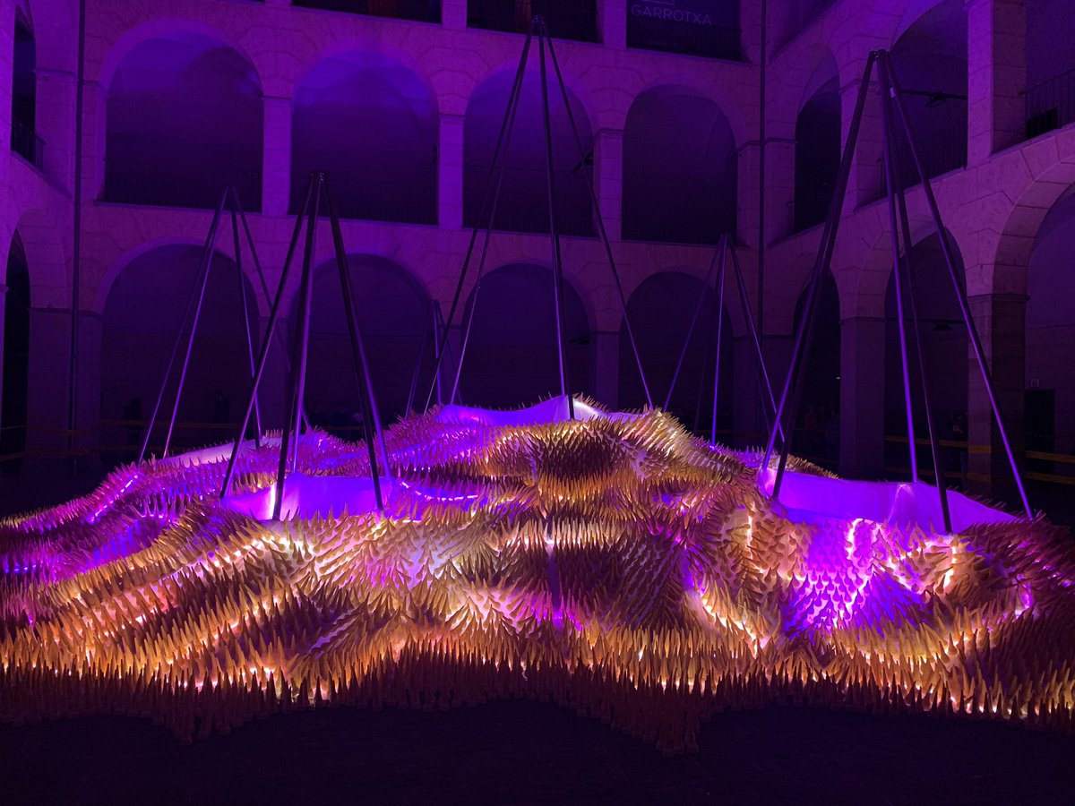light as a bridge EXPERIENCE tweet media