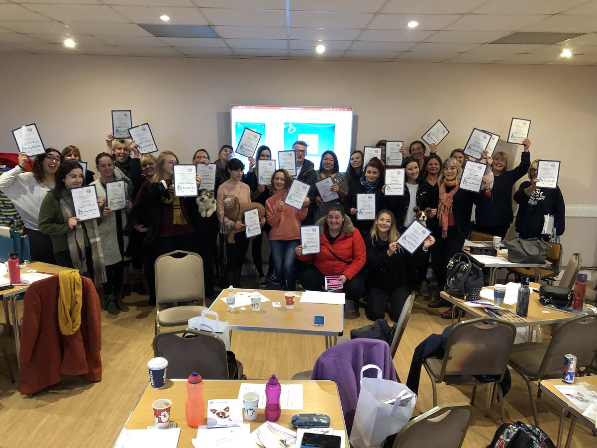 We’ve joined Twitter!  If you love dogs as much as we do in Wiltshire, IOW, New Forest and Bournemouth DONT forget to follow us!