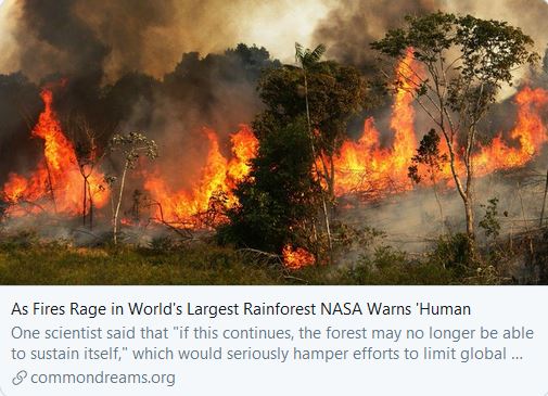 This is what the  #ClimateCrisis looks like in  #SouthAmerica right now.6/Nov/2019:NASA has warned that "based on 20 years of ground and satellite data, "human activities are drying out the Amazon" and jeopardizing its ability to sustain itself." https://www.commondreams.org/news/2019/11/06/fires-rage-worlds-largest-rainforest-nasa-warns-human-activities-are-drying-out