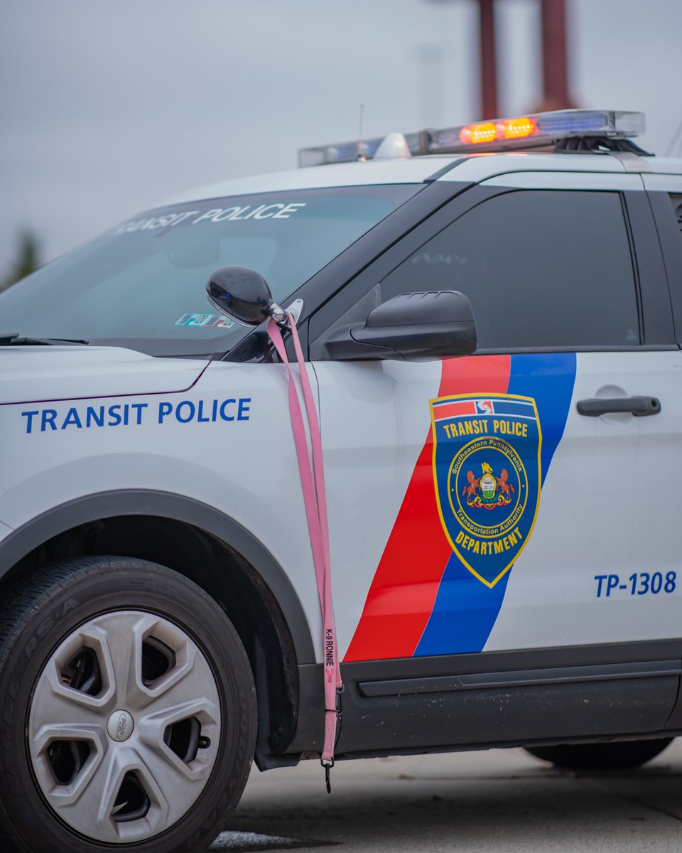 CarolSkaziak's tweet photo. If you had the opportunity to spread awareness & an important message, would you? Septa K9 Unit has participated in @Throwawaydogs #Projectpinkleash campaign for Breast cancer awareness month. The message is simple: GET YOUR MAMMOGRAMS DONE! @SEPTAPHILLY @FOX29philly @SPDK9Dodi https://t.co/zOOgjDywQ1