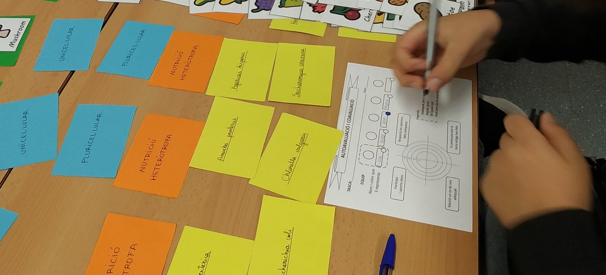 MariolaScience's tweet image. Modificación de "el término misterioso de @irealo2 " y su aplicación en 1ESO. Se repartieron imágenes y targetas de colores con diferentes características de los 5 reinos entre el alumnado, que debía organizarlos. Finalmente auto- y coevaluación final. #profesBioGeo #cooperativo