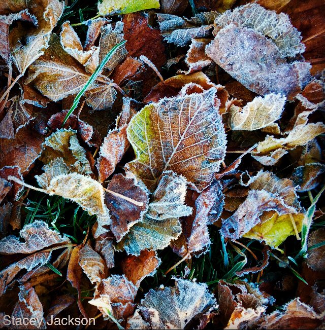 “Autumn Surrender” - Ullswater 28th October #StormHour #notjustlakes #lakedistrict #pooleybridge #walking #autumn #winter @LakeDistrictPR @lakedistrictnpa @StormHour @metoffice @itvweather