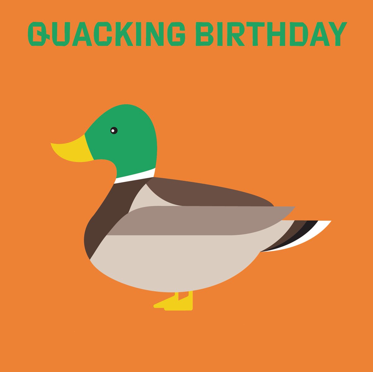 pippopdesigns's tweet photo. Quack Quack, meet #Destheduck and his quacking sense of humour!! Make someone’s birthday, send them Des https://t.co/Pfhca0RLQk