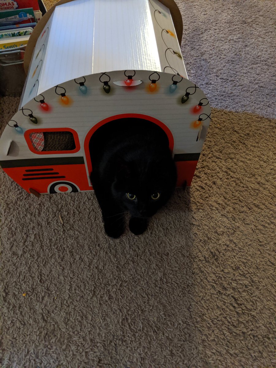 KodlakKitten's tweet photo. Merry early Christmas to meeeeee. https://t.co/S3iRhERzer