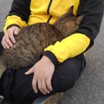 釣りをしていたら、なかなか釣れず座っていたら猫が暖を取りにきた!