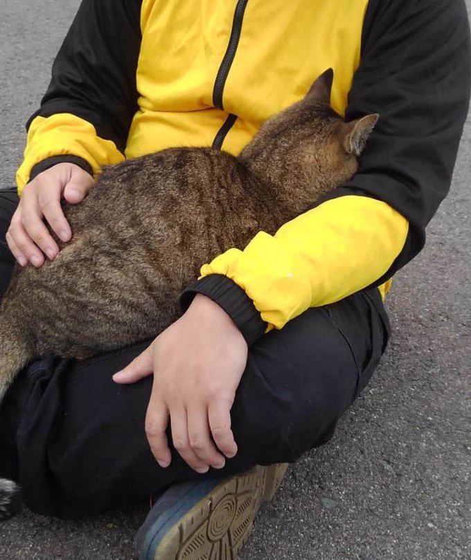 釣りをしていたら、なかなか釣れず座っていたら猫が暖を取りにきた！